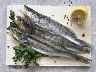 Плотва ГОСТ вяленая: Судак вяленый